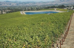 Gallo reservoir with recycled water from city of Santa Rosa / Photo courtesy of Mark Millan